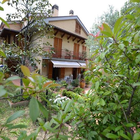 B&B Casa Cettina Macerata Dış mekan fotoğraf